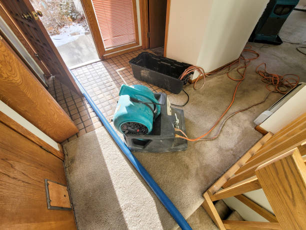 Best Carpet water damage restoration  in Kingston, NJ