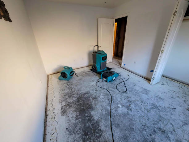 Best Professional water damage repair  in Kingston, NJ